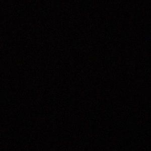 Meet your Posher, Riley